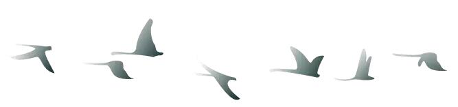 中秋佳節(jié) ▎有態(tài)度、有溫度， 一份堅(jiān)守是最誠摯的祝福！